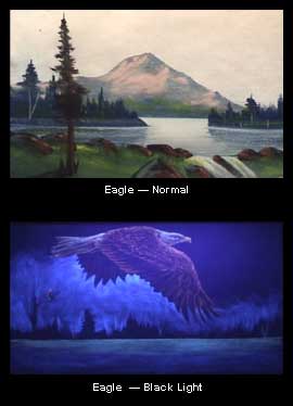 The Eagle Presentation DVD