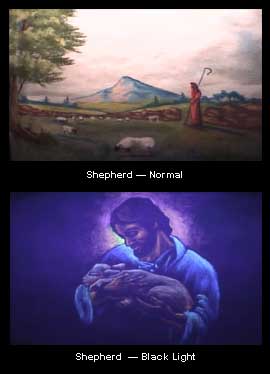 The Good Shepherd Presentation DVD